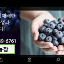 상빈농장 네이버블로그