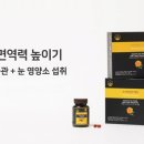 마임대전원내사랑지사