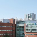 미즈메디병원 스포츠경향