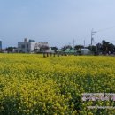 노랑등대 앞 이미지