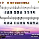 네 맘과 정성을 다하여서(You Shall Love God, Your Lord) - D#+D 이미지