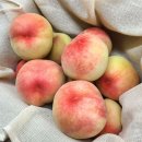 만석길농장 이미지