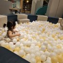 꼬맹스테이 | [33개월 아기랑 제주도] 두 가족이 함께하는 숙소 고르기 (제주 동쪽편)