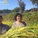 이병수농장 네이버블로그