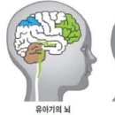 밸런스통합운동센터