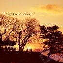 웅포곰개나루 이미지