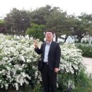 한국신경외과 이미지