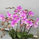 동래문화회관 이미지