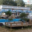 파트라슈 애견 펜션 이미지