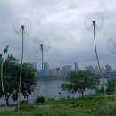 뚝섬한강공원-29 이미지