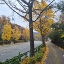 현대남산주유소 이미지