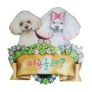 블로그꾸미기 인사말배너 만들어드리는 이벤트 하면 참여 하실련지요:)(수정)