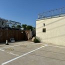 스테이독 이미지