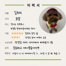 두리농장 | 25년 10월 두리 일상