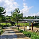 성황교2 이미지