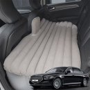 편안하개 이미지