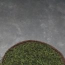 (주)단주 이미지