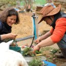 힐링황토집 이미지