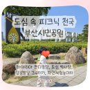 지에스25광장점 | 부산시민공원 하야리아 잔디광장 &amp; 도심백사장｜아이와 자연 속 하루 나들이