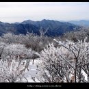 안성면018 이미지