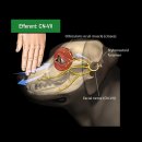 예동물병원 이미지