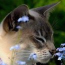 동화중학교 이미지