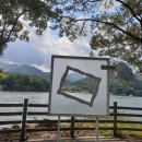 호수와 소나무 이미지