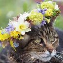 봉선체육공원1 이미지