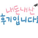 동해일출청과