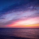 나무여행 이미지