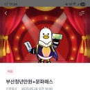 부산 동백전 2025년 청년 문화패스 만원으로 공연보기