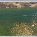 새들민박 이미지