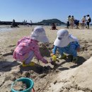 엄블라비안 이미지