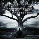 빛의 메시지 이미지