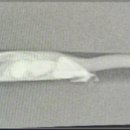 파우 동물병원 이미지