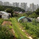 내곡동421 이미지