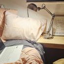 리브가 스테이 이미지