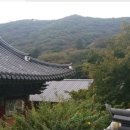 대초커피