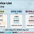 파라다이스 독 네이버블로그