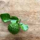 허브이야기 이미지