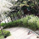 퍼피니스 | [실외애견카페퍼피니스]린아는 친구들이 좋아요