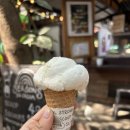 커먼바이크 | 치앙마이 가성비 숙소 추천 여자혼자 블루밍호스텔