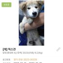 이성준동물병원 이미지