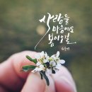 글씨 디자인 캘리그라피 이미지