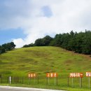 장승리 고분군 이미지