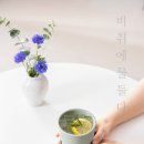 비취에 물들다