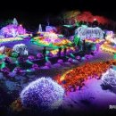 축제펜션 이미지