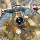 싱싱해물특공대 이미지