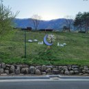 문경새재국민여가캠핑장 이미지