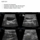 동물병원 비아츠 이미지